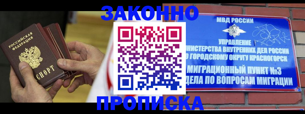 прописка для школы в Плавске